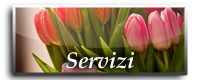 Servizi